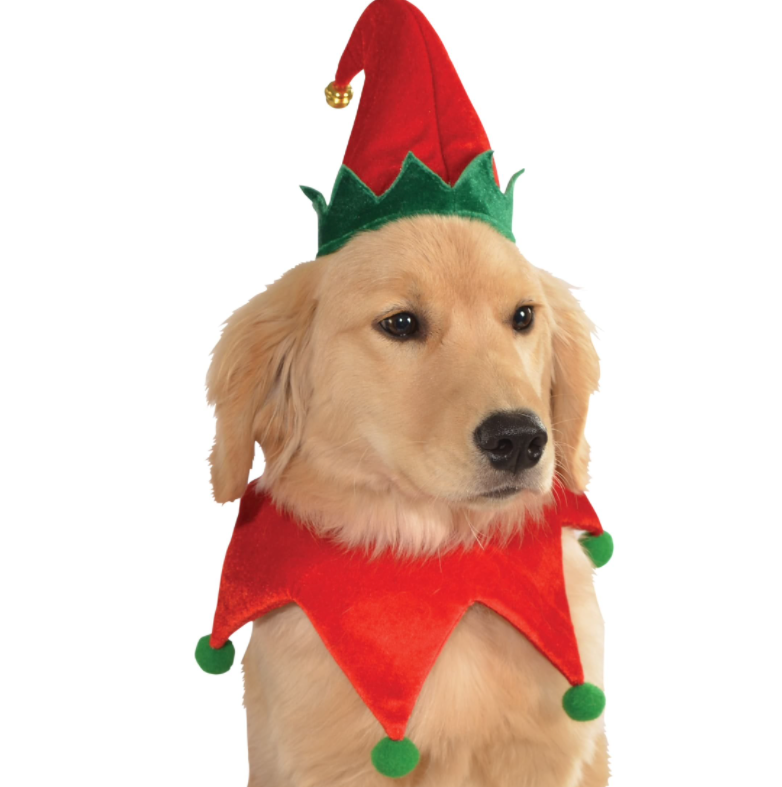 Dog Elf Hat with Bell and Collar.