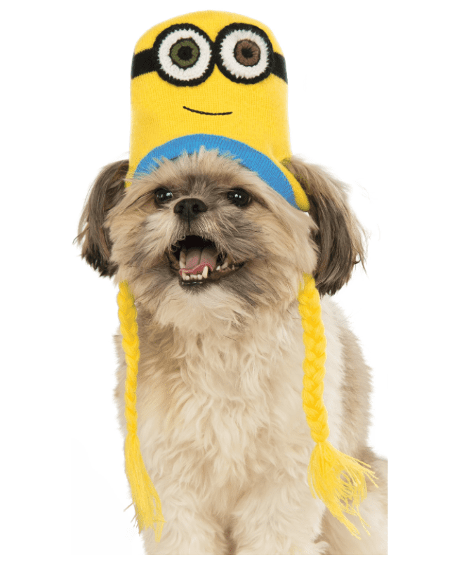 Minion Bob Knit Headpiece Dog Costume.