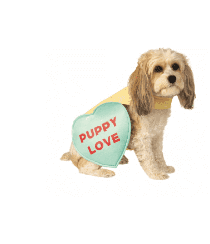 Pet Candy Heart Pet Costume.