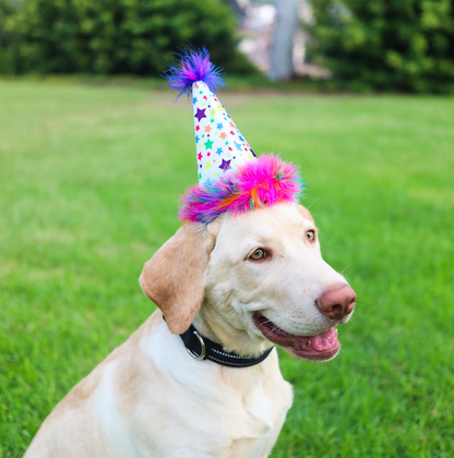 Party Hats.
