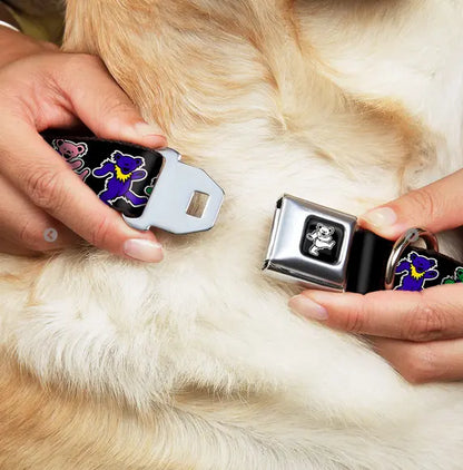 Dancing Bear Black/Silver Seatbelt Buckle Collar - Dancing Bears Black/Multi Color.
