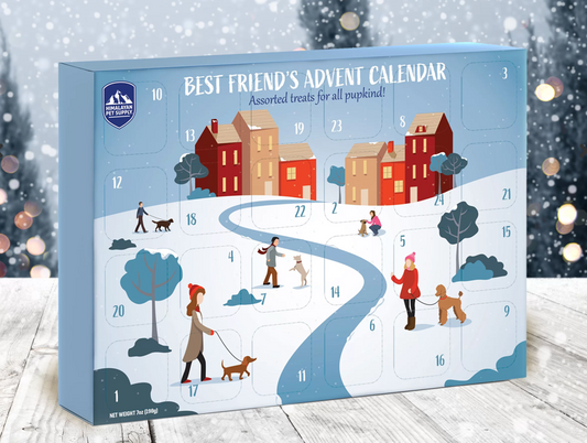 Advent Calendar 2021.