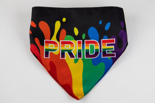 Hip Doggie Pride Pet Bandana.