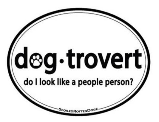 Dog-trovert Magnets