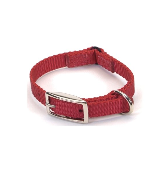 Cat 3/8" Wide Web Safety Collar.