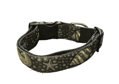 Seashells on the Seashore Dog Collar (1.5" Wide).