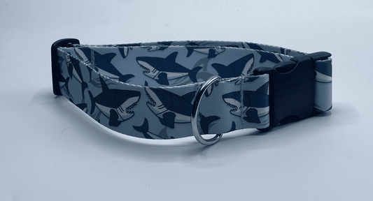 Sharks Dog Collar (1.5" Wide).