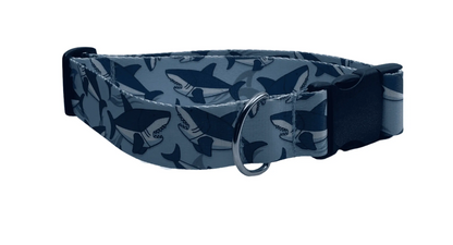 Sharks Dog Collar (1.5" Wide).