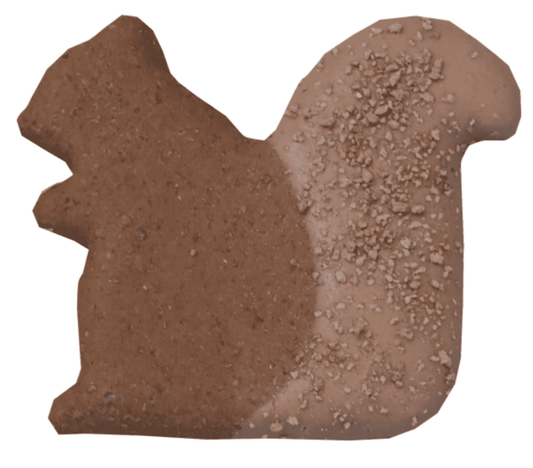 Squirrel Dog Treat.