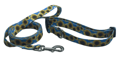 Summer Sunflowers  Dog Collars or leads (1" Wide).