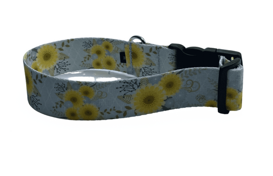 Sunny Days Dog Collar (1.5" Wide).