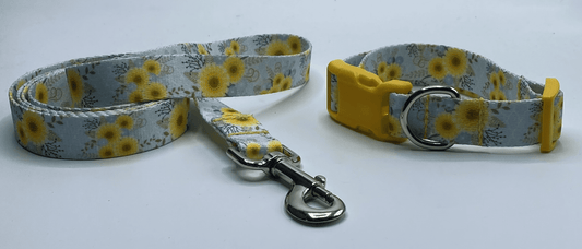 Sunny Days Collars or leads (5/8" wide).