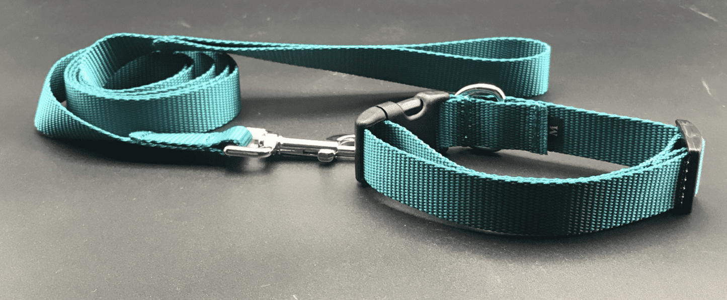 Teal Dog Collar w/Reflective Buckle (1" Wide).