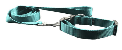 Teal Dog Collar w/Reflective Buckle (1" Wide).