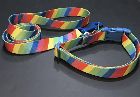 The Jolly Rancher Dog Collars or Leads (1" wide).