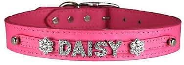 Signature Leather Slider Collar (Pink).