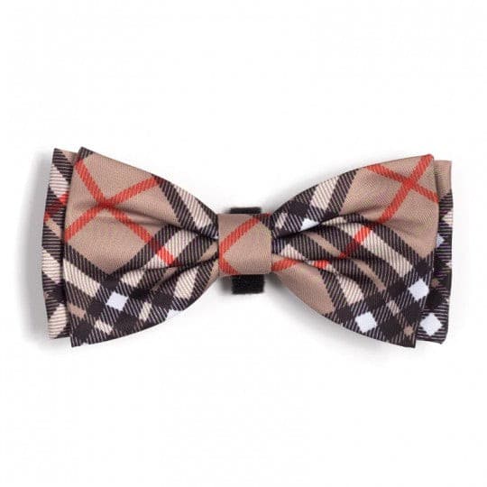 Bow Ties (Fall 2019 Collection).