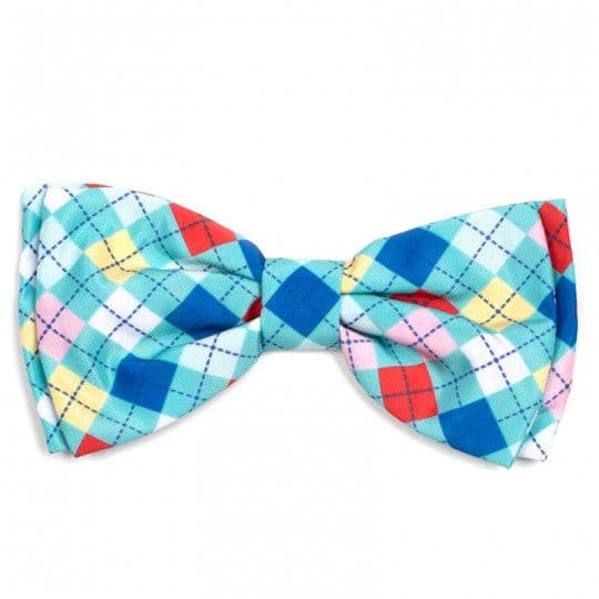 Bow Ties (Fall 2019 Collection).