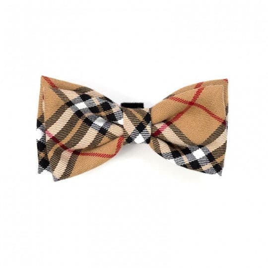 Bow Ties (Fall 2019 Collection).