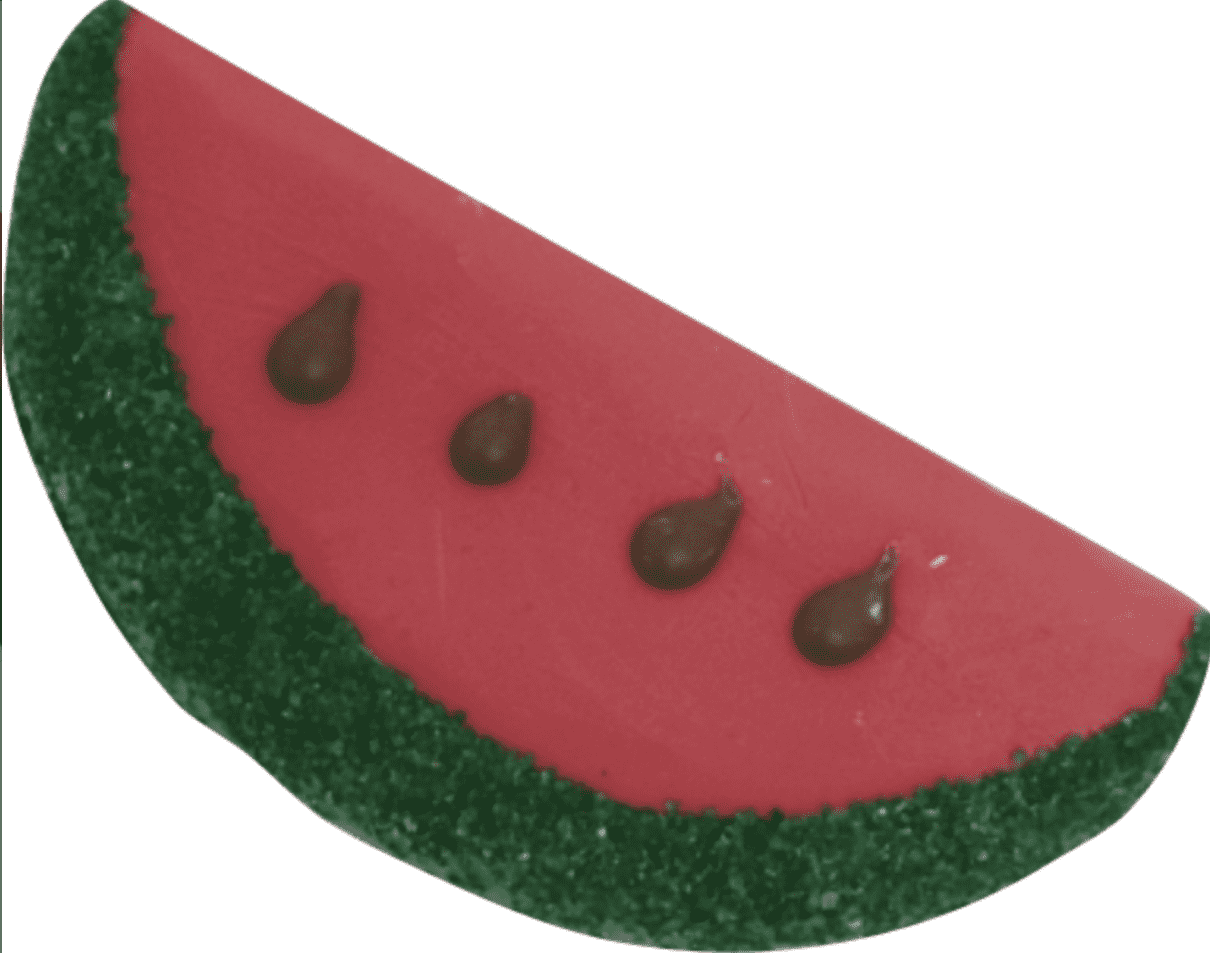 Watermelon Dog Treat.