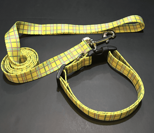 Yellow Easter Basket Argyle Dog Collar or Lead (1" Wide).