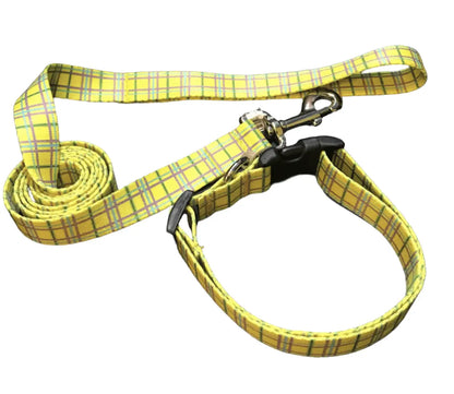 Yellow Easter Basket Argyle Dog Collar or Lead (1" Wide).