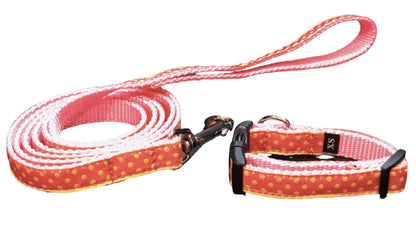 Yellow Spots Dog Collars or Leads (5/8 Wide).