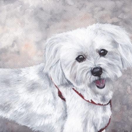 Custom Pet Portrait (Watercolor) by Katherine.