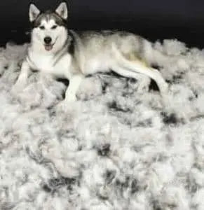 Service (De-Shedding).