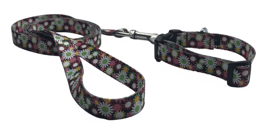 Flower Pop Dog Collars or leads (5/8" wide).