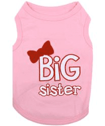 Big Sister T-Shirt.