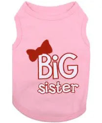 Big Sister T-Shirt.