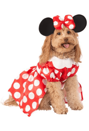 Minnie Mouse Pet Costume.
