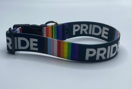Pride 2021 1.5" Dog Collar.