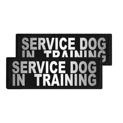 Removable Reflective Patches (Set of 2).