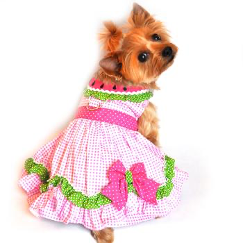 Watermelon Dog Harness Dress Petcetera NOLA