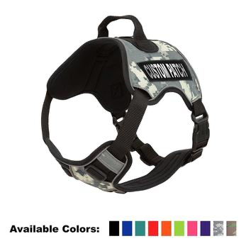 Quest Multi-Purpose Dog Harness.