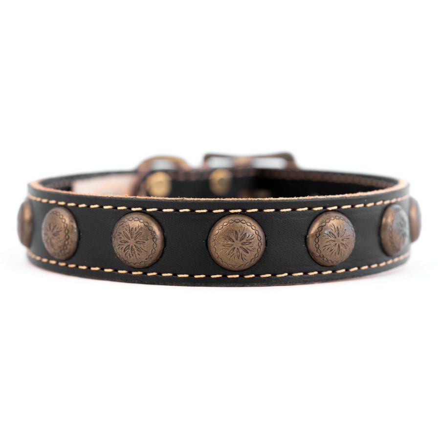 Lake Country Sunburst Collar (Black).