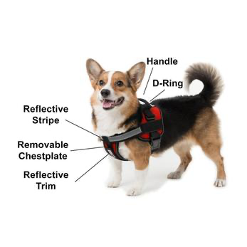 Unimax Multi-Purpose Harness.