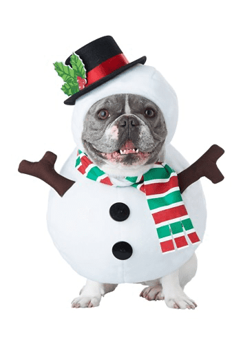 Snowman Dog Costume.