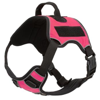 Quest Multi-Purpose Dog Harness.