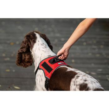 Quest Multi-Purpose Dog Harness.