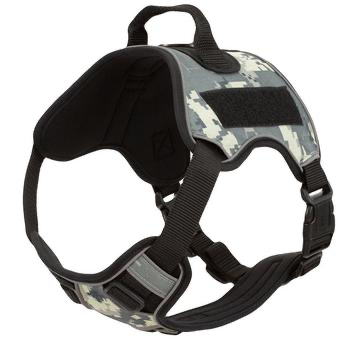 Quest Multi-Purpose Dog Harness.