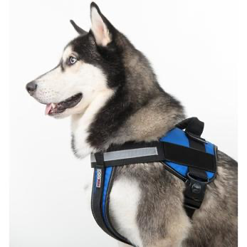 Unimax Multi-Purpose Harness.