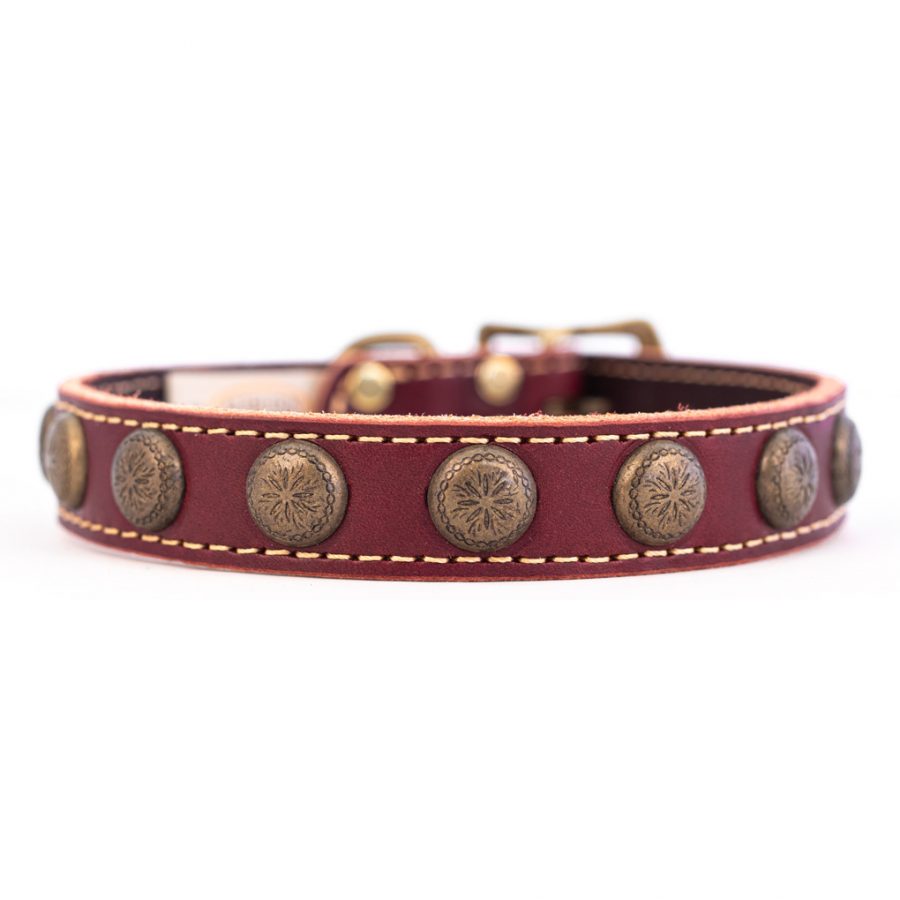 Lake Country Sunburst Dog Collar (Burgundy).