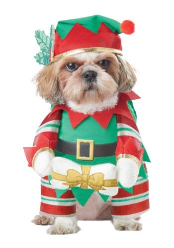 Elf Pup Dog Costume.