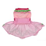 Watermelon Dog Harness Dress.