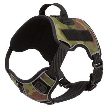 Quest Multi-Purpose Dog Harness.