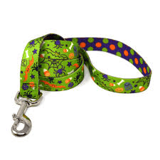 Halloween Mix Collar and Lead.