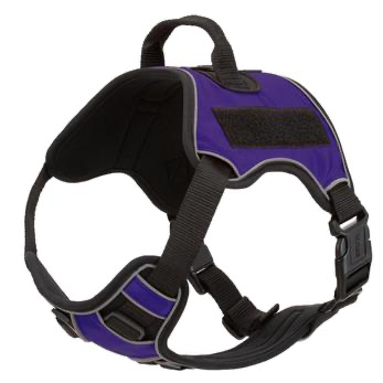 Quest Multi-Purpose Dog Harness.